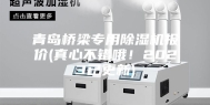 青岛桥梁专用除湿机报价(真心不错哦！2023已更新)