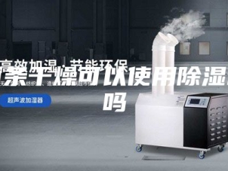 企业新闻面条干燥可以使用除湿机吗