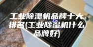 工业除湿机品牌十大排名(工业除湿机什么品牌好)