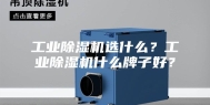 工业除湿机选什么？工业除湿机什么牌子好？
