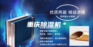 重庆除湿机＊
