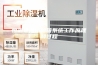恒温恒湿试验箱系统工作原理和过程