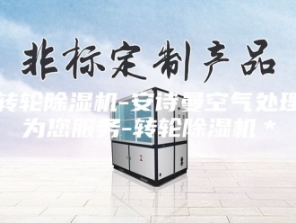 企业新闻转轮除湿机-安诗曼空气处理为您服务-转轮除湿机＊