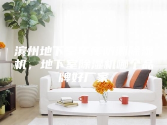 行业新闻滨州地下室车库防潮除湿机，地下室除湿机哪个品牌好厂家