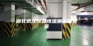 湖北武汉恒温恒湿测试箱现货