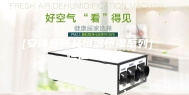 [安诗曼新品恒温恒湿系列]  恒温恒湿机
