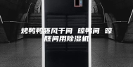 烤鸭鸭胚风干间 晾鸭间 晾胚间用除湿机