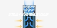 武汉步入式恒温恒湿试验房