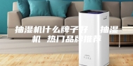 抽湿机什么牌子好  抽湿机 热门品牌推荐