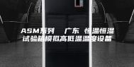 ASM系列  广东 恒温恒湿试验箱模拟高低温温度设备