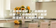 工业用除湿机／工业用除湿设备／工业用除湿器／标准除湿机／车间用除湿机
