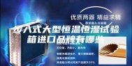 步入式大型恒温恒湿试验箱进口品牌有哪些