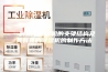 一种用于除湿机的支架结构及具有其的除湿机的制作方法