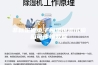 非标定做电子恒温恒湿试验箱可传输数据