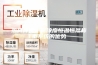 热持环保：低浓度恒温恒湿称重系统的优势