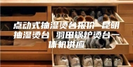 点动式抽湿烫台报价 昆明抽湿烫台 羽田锅炉烫台一体机供应