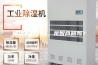 除湿机好用吗，是智商税吗？