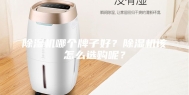 除湿机哪个牌子好？除湿机该怎么选购呢？