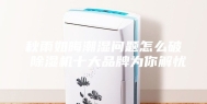 秋雨如晦潮湿问题怎么破 除湿机十大品牌为你解忧