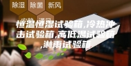 恒温恒湿试验箱,冷热冲击试验箱,高低温试验箱,淋雨试验箱