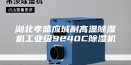 湖北孝感应城耐高温除湿机工业级9240C除湿机