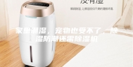 家里潮湿，宠物也受不了，除湿防潮还需除湿机