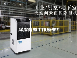 企业新闻除湿机的工作原理？