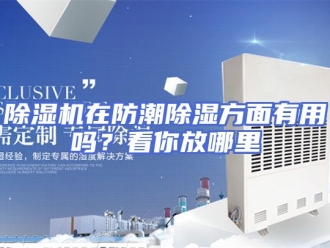 企业新闻除湿机在防潮除湿方面有用吗？看你放哪里