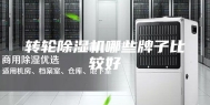 转轮除湿机哪些牌子比较好
