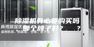 除湿机有必要购买吗，哪个牌子好？  ？