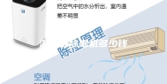 游泳池除湿机多少钱