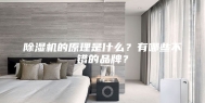 除湿机的原理是什么？有哪些不错的品牌？