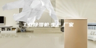 工业除湿机,生产,厂家