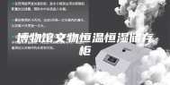 博物馆文物恒温恒湿储存柜