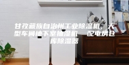 甘孜藏族自治州工业除湿机，大型车间地下室抽湿机  配电房仓库除湿器