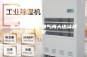 用了除湿机，潮气再大也没问题