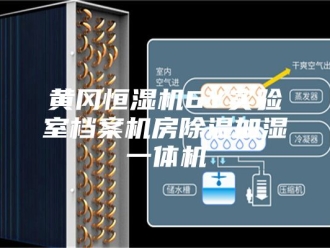 企业新闻黄冈恒湿机6Y实验室档案机房除湿加湿一体机