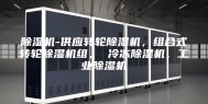 除湿机-供应转轮除湿机，组合式转轮除湿机组， 冷冻除湿机，工业除湿机