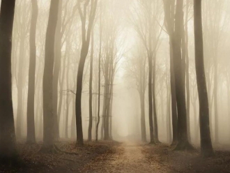 行业新闻“回南天”除湿温馨提示