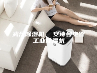 企业新闻武汉除湿机  安诗曼电器工业除湿机