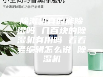 企业新闻除湿机真的能除湿吗 几百块的除湿机有用吗 看看老编辑怎么说 除湿机