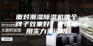 面对潮湿除湿机哪个牌子效果好？安诗曼用实力来证明