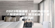 2023年除湿机／如何选除湿机／除湿机推荐／抽湿机推荐／家用除湿机