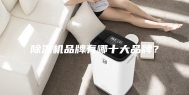 除湿机品牌有哪十大品牌？