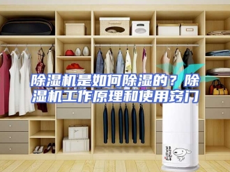 企业新闻除湿机是如何除湿的？除湿机工作原理和使用窍门