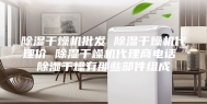 除湿干燥机批发 除湿干燥机代理价 除湿干燥机代理商电话 除湿干燥有那些部件组成
