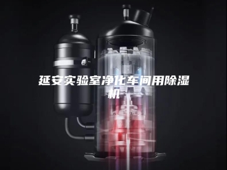 行业新闻延安实验室净化车间用除湿机
