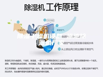 企业新闻除湿干燥机设备 泳池除湿机厂家