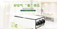 除湿机有什么作用 除湿机什么时候用