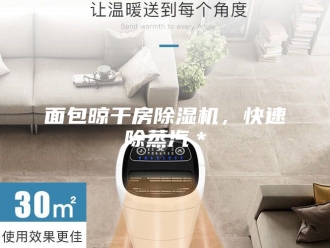 企业新闻面包晾干房除湿机，快速除蒸汽＊